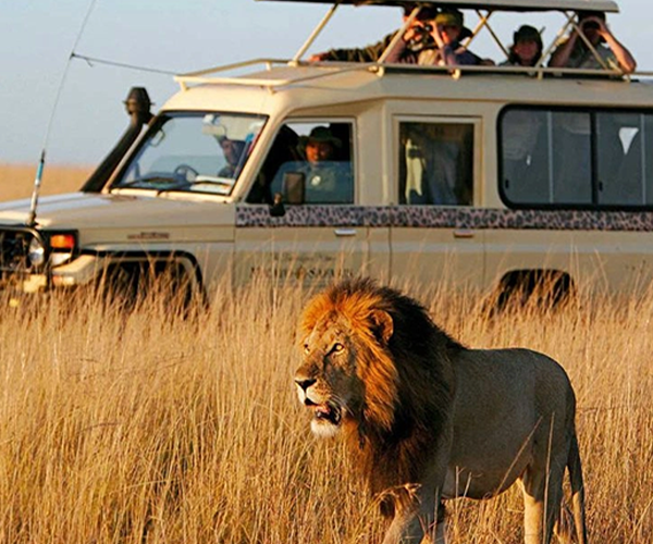 09Nights / 10Days Kenya Safari