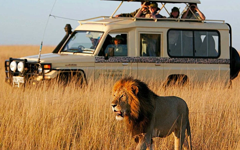 5Days Masai Mara Flying Package