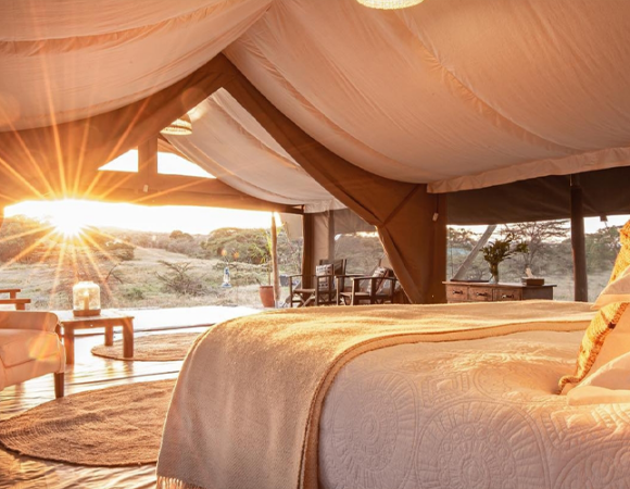 12Days Kenya & Tanzania Bush Package