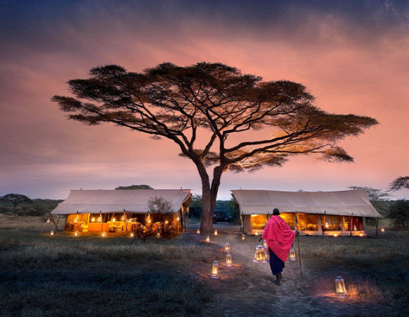 4Days Lake Nakuru & Masai Mara Budget Safari