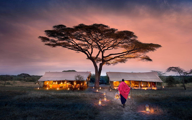 4Days Lake Nakuru & Masai Mara Budget Safari