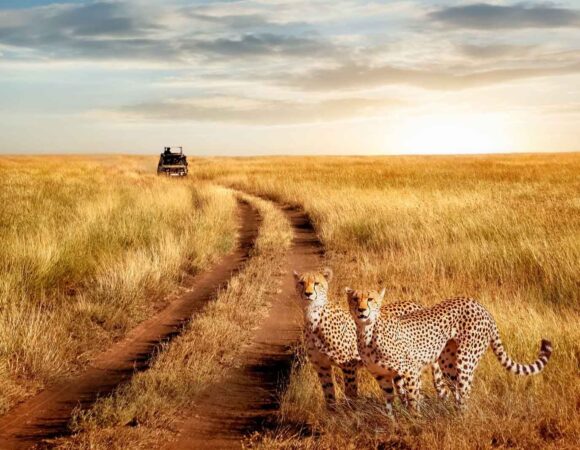 7Days L Nakuru, Masai Mara /Naivasha & Amboseli