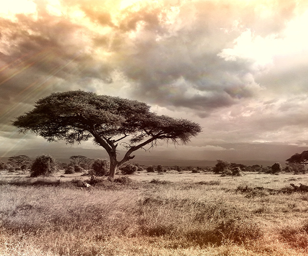 4Day Naivasha and Maasai Mara Mid Luxury Safari