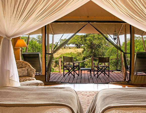 The Untold Wilderness Authentic Safari