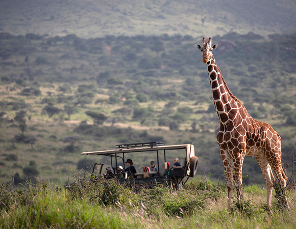 Ol Pejeta Safari Escape - 3Days